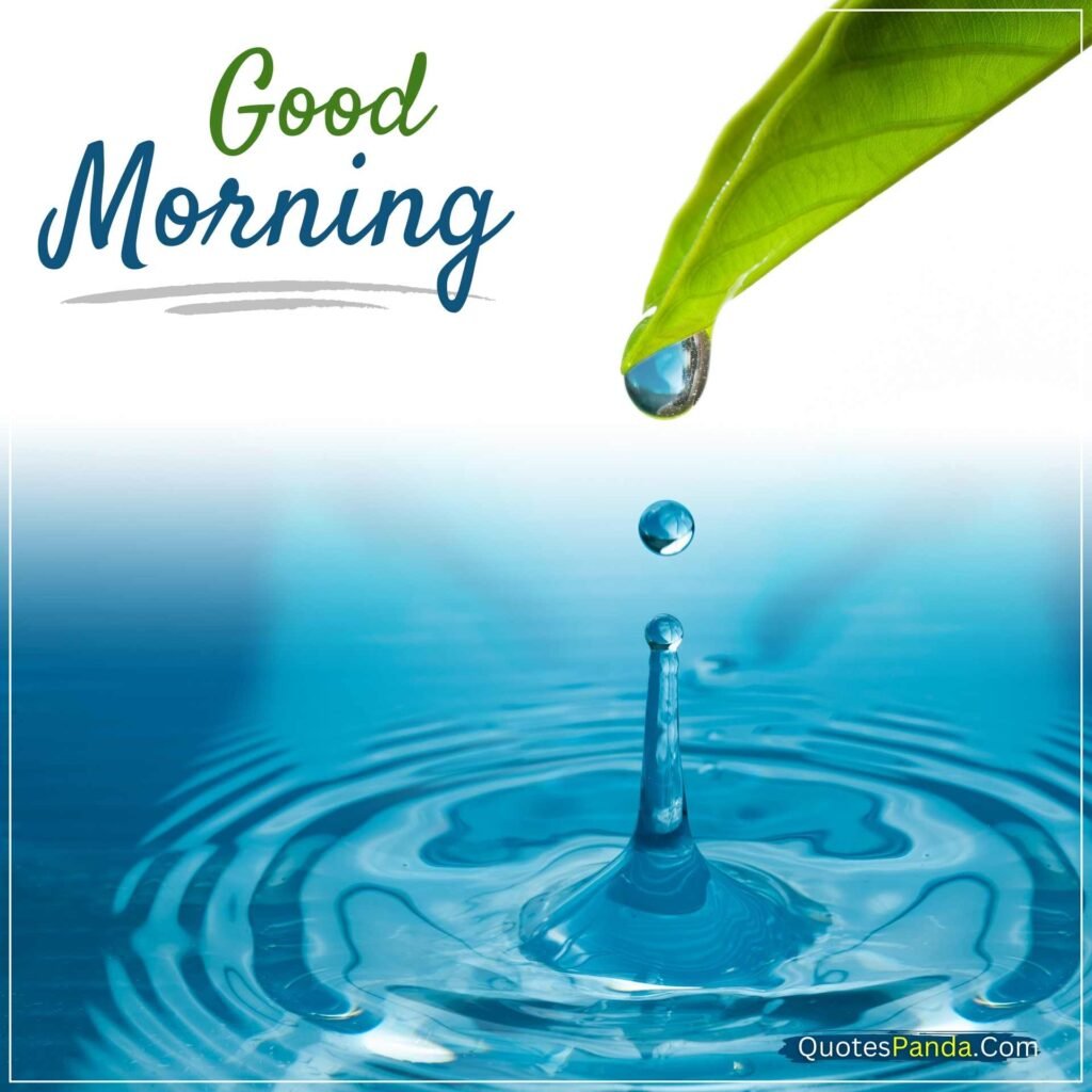 Good Morning Wishes With Text