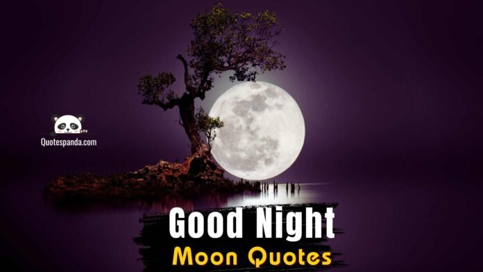 89 Good Night Moon Quotes for a Beautiful Sleep