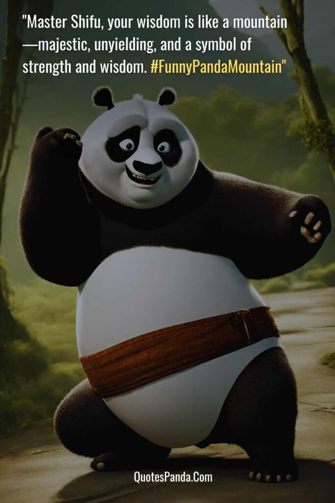 Master Sifu Wisdom Funny Kung Fu Panda Chronicles