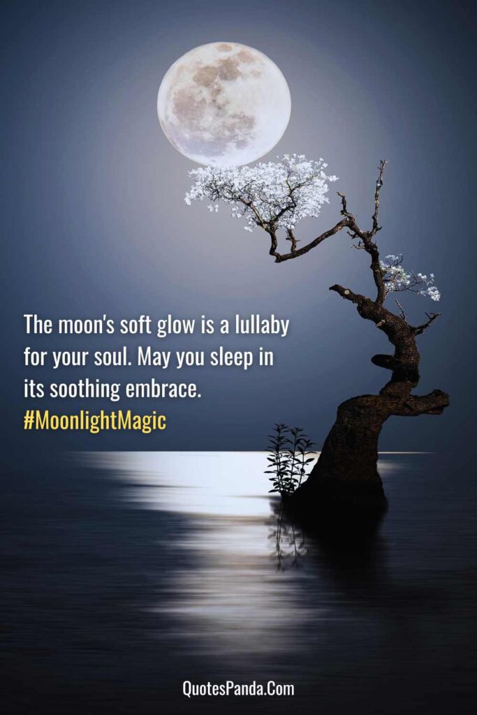 Beautiful moon attractive good night message and pictures