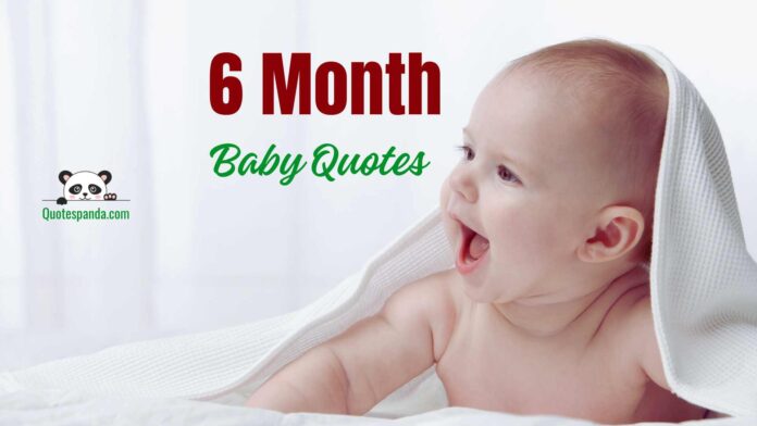 129 Happy 6 Month Baby Quotes For Instagram