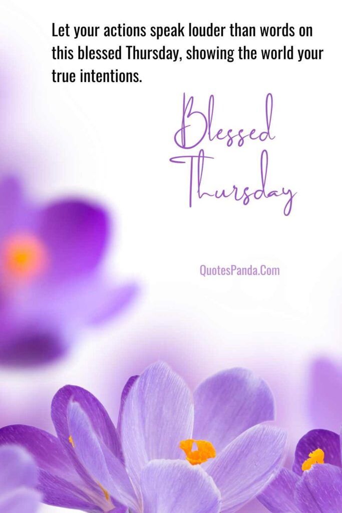 have a beautiful blessed thursday pics