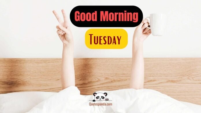 110 Best Good Morning Tuesday Images And Quotes