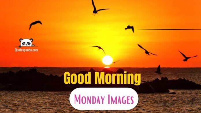 112 Positive Good Morning Monday Images And Quotes