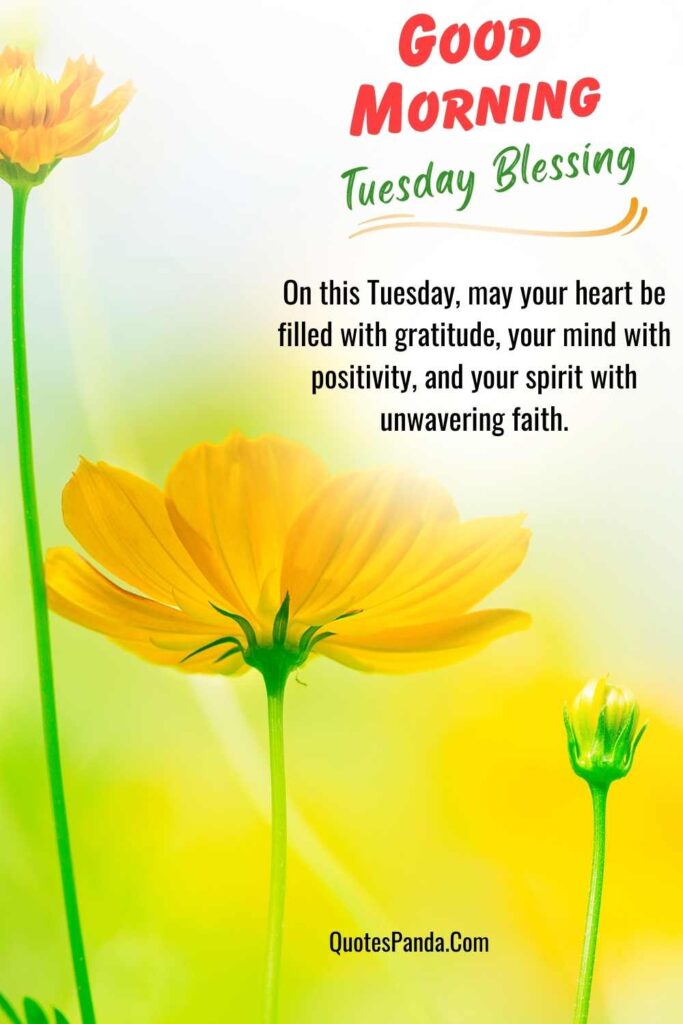 gentle tuesday blessings wishes images