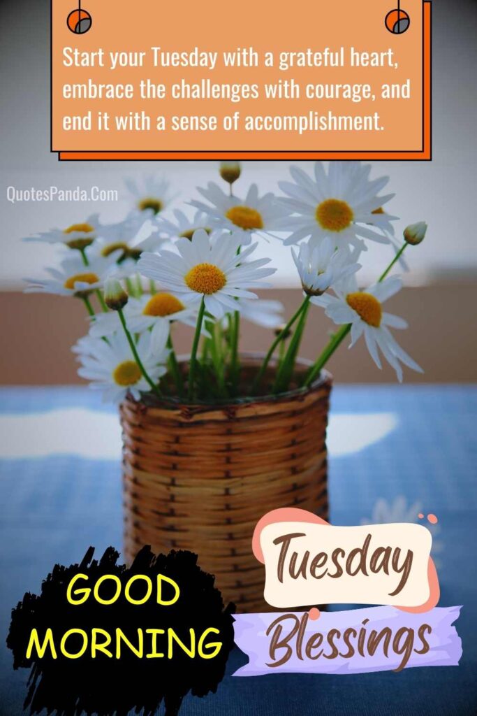 simple tuesday blessings graphics download