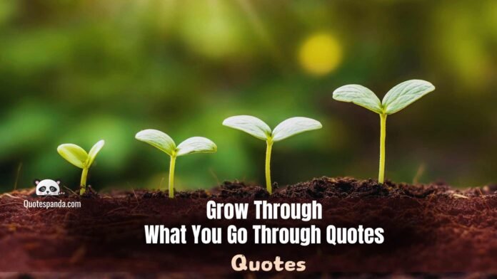 96+ Grow Through What You Go Through Quotes