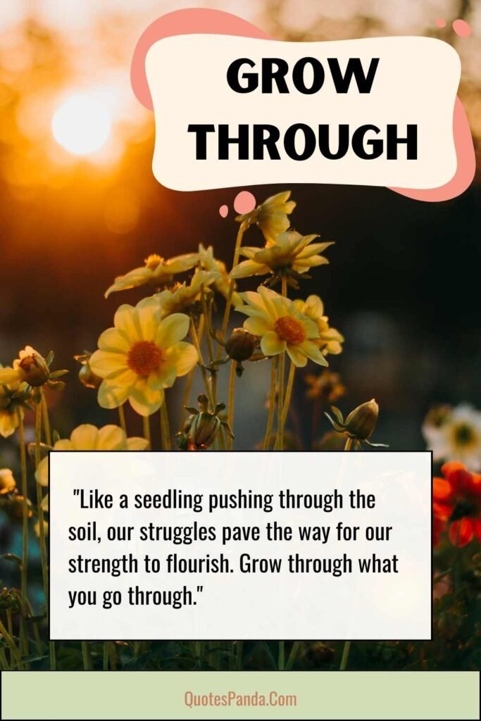 embrace growth with courage and resilience quotes and images
