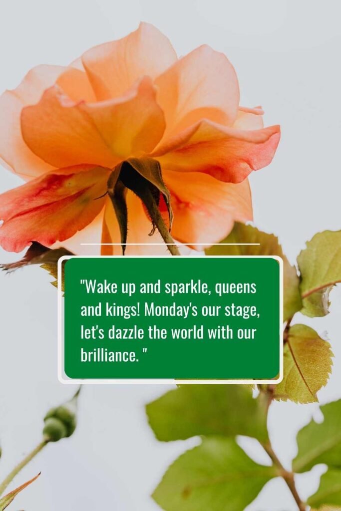 encouraging monday quotes to boost motivation with images